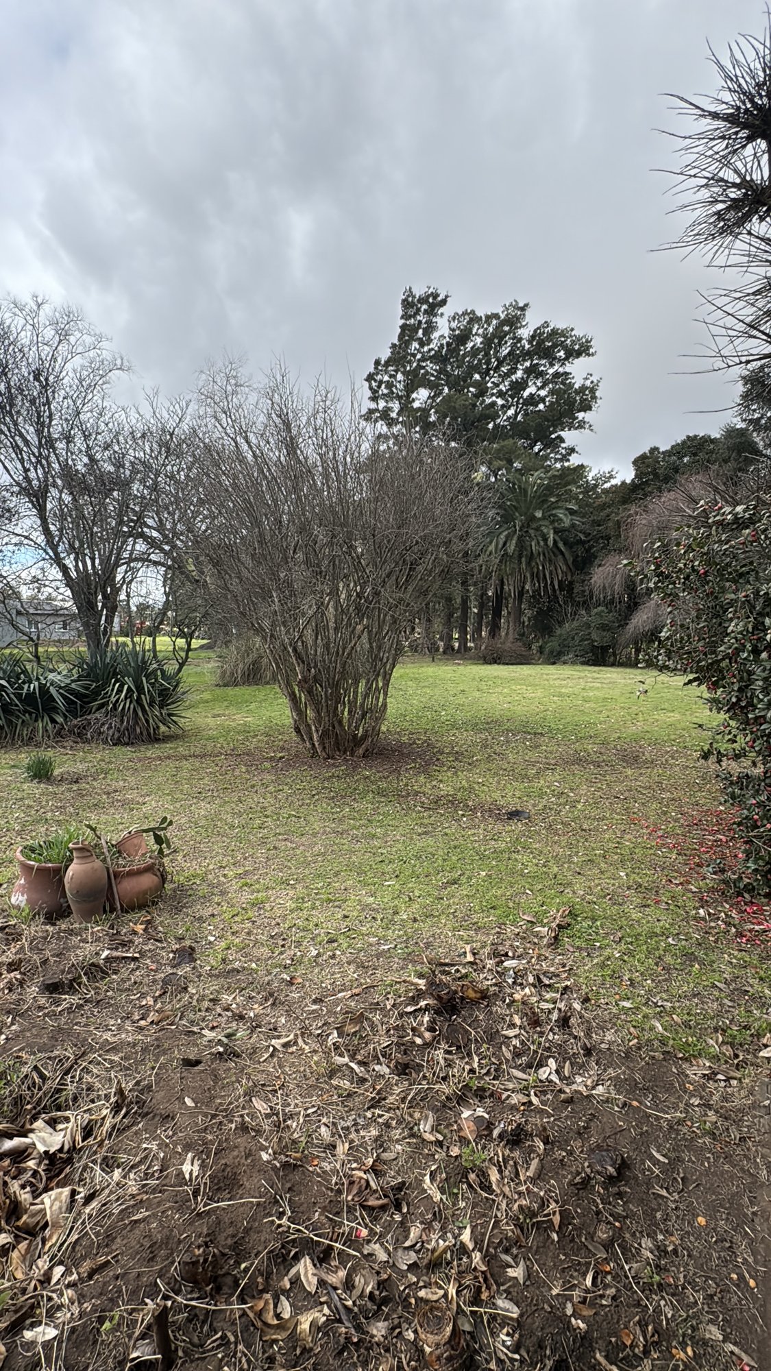 Casa quinta en Los Toldos — foto 8