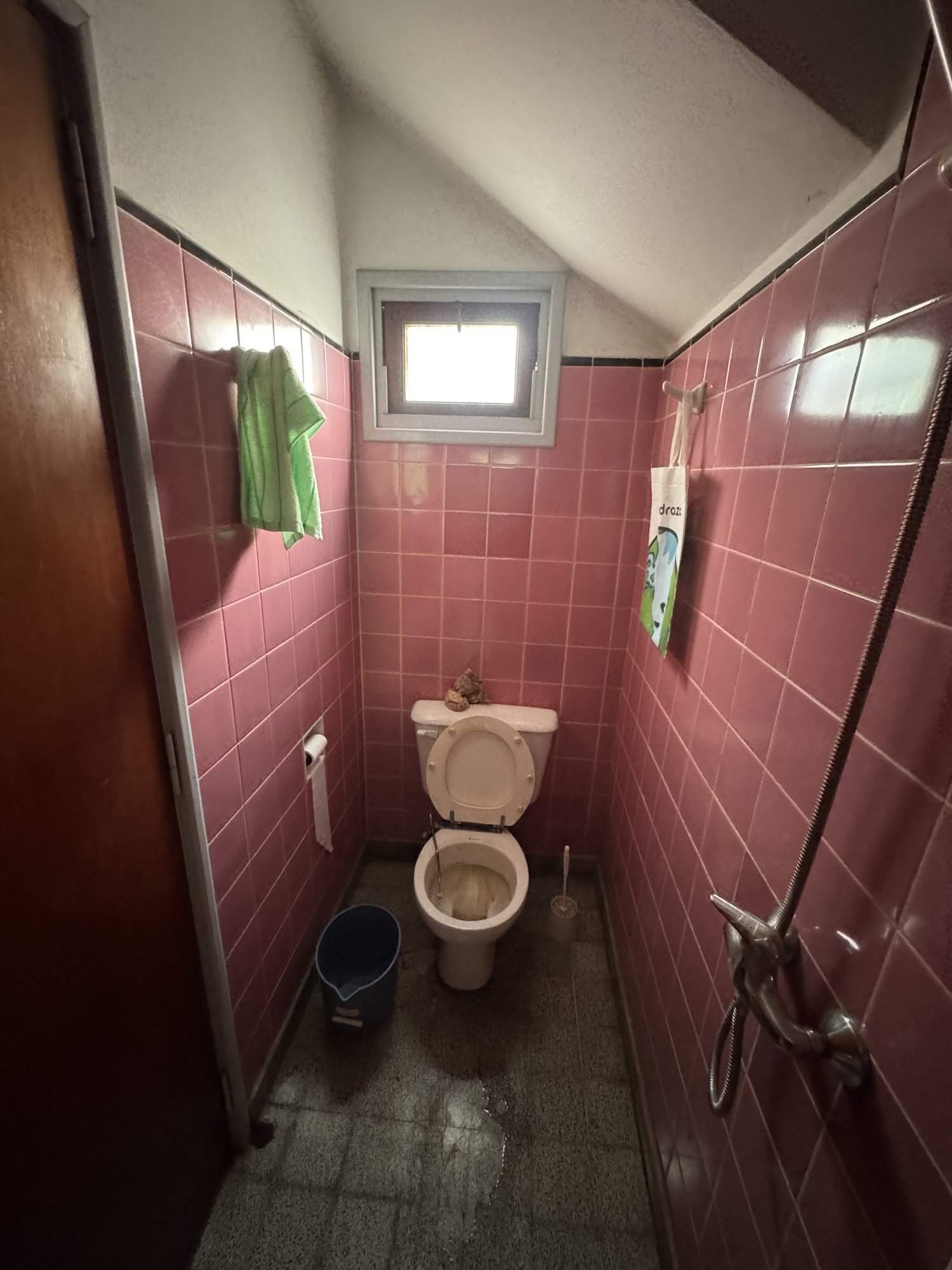 Casa en Almirante Brown y Leandro Alem — foto 9