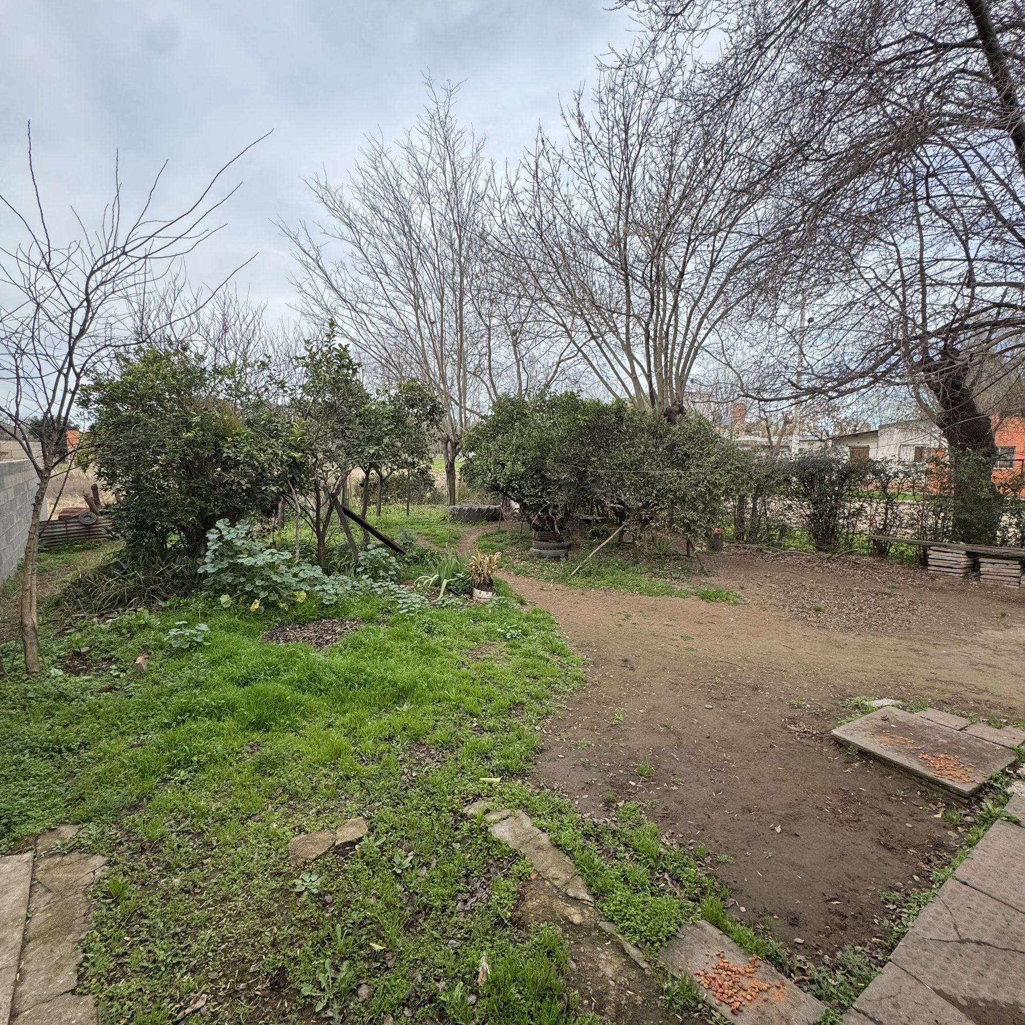 Casa en Pueyrredón y Tapera de Díaz — foto 8