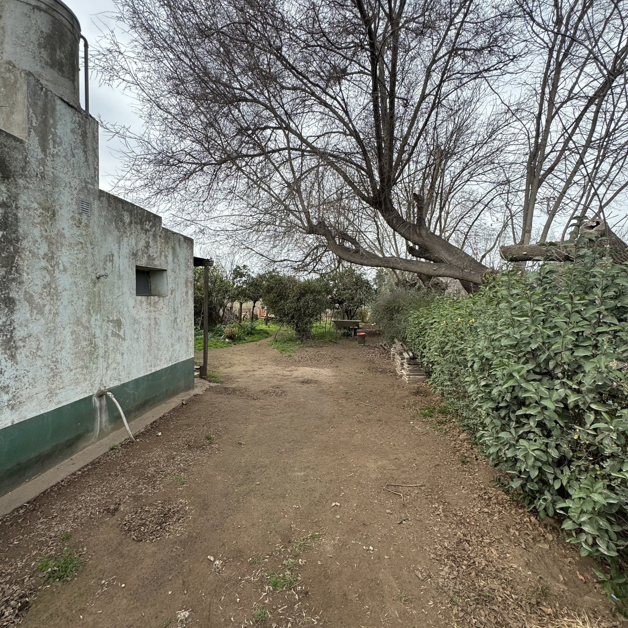 Casa en Pueyrredón y Tapera de Díaz — foto 9