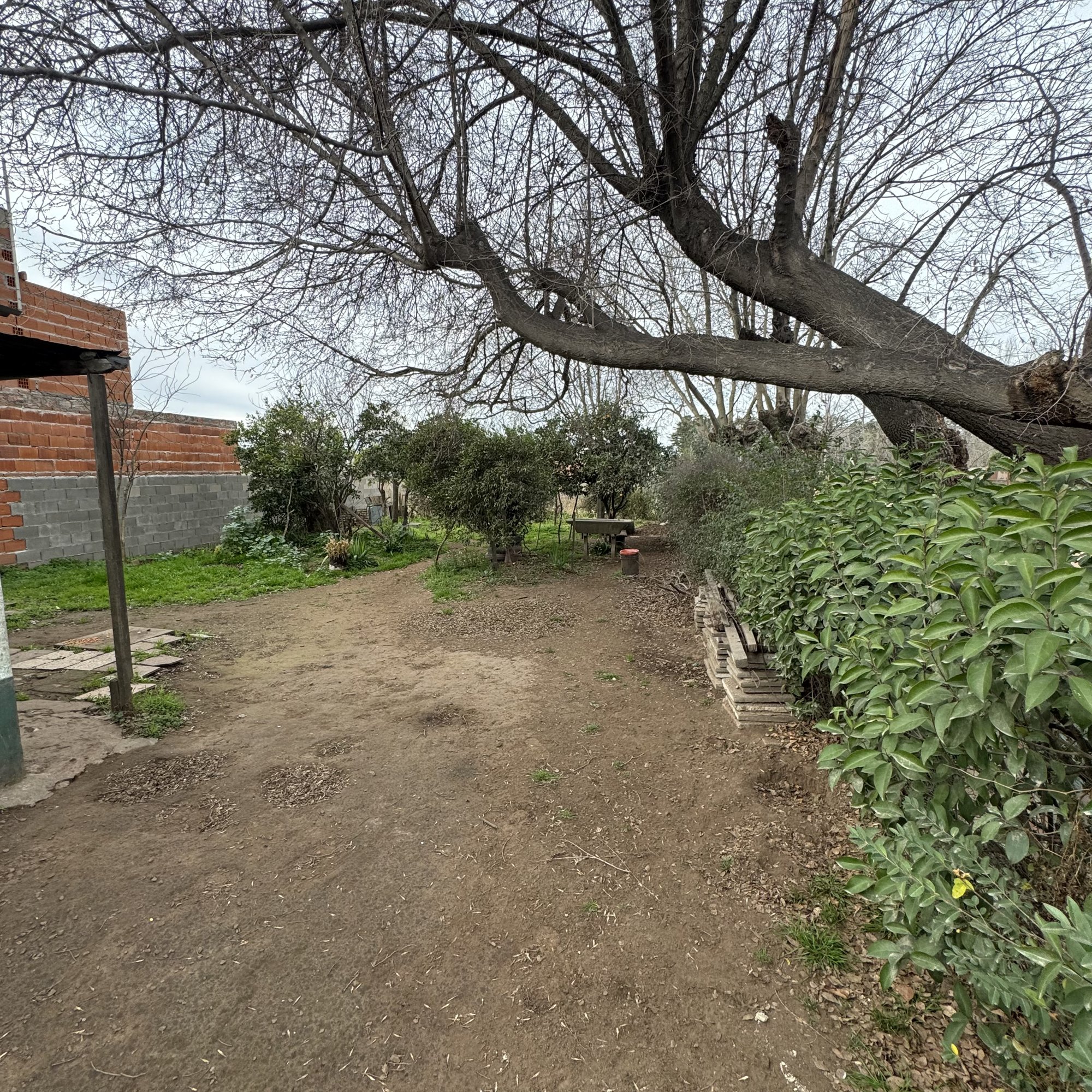 Casa en Pueyrredón y Tapera de Díaz — foto 10